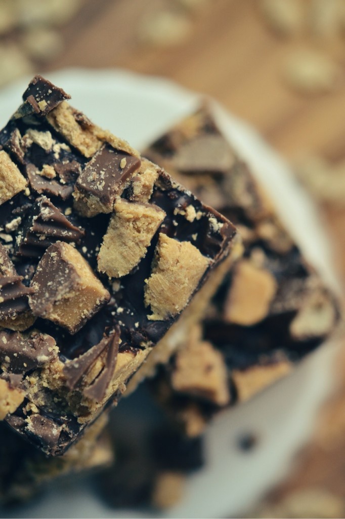 Chocolate-Covered Peanut Butter and Marshmallow Krispies Bars | Faith, Hope, Love, and Luck Survive Despite a Whiskered Accomplice