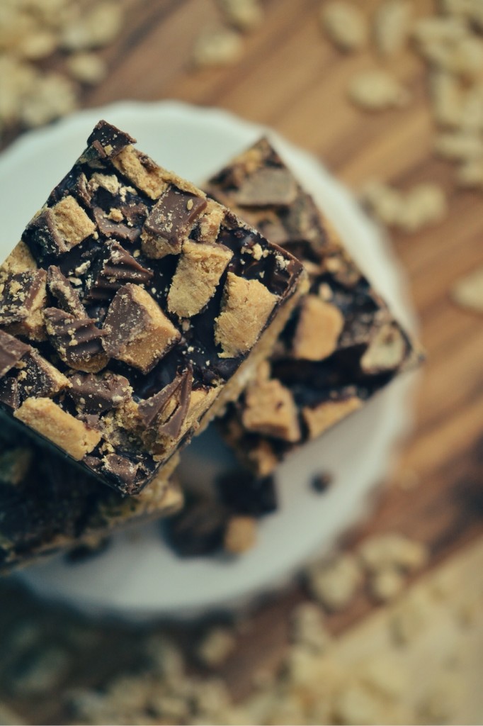 Chocolate-Covered Peanut Butter and Marshmallow Krispies Bars | Faith, Hope, Love, and Luck Survive Despite a Whiskered Accomplice