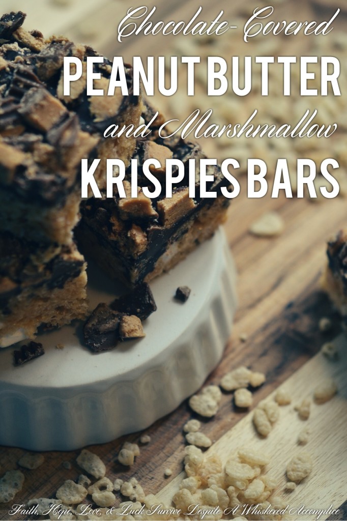 Chocolate-Covered Peanut Butter and Marshmallow Krispies Bars | Faith, Hope, Love, and Luck Survive Despite a Whiskered Accomplice