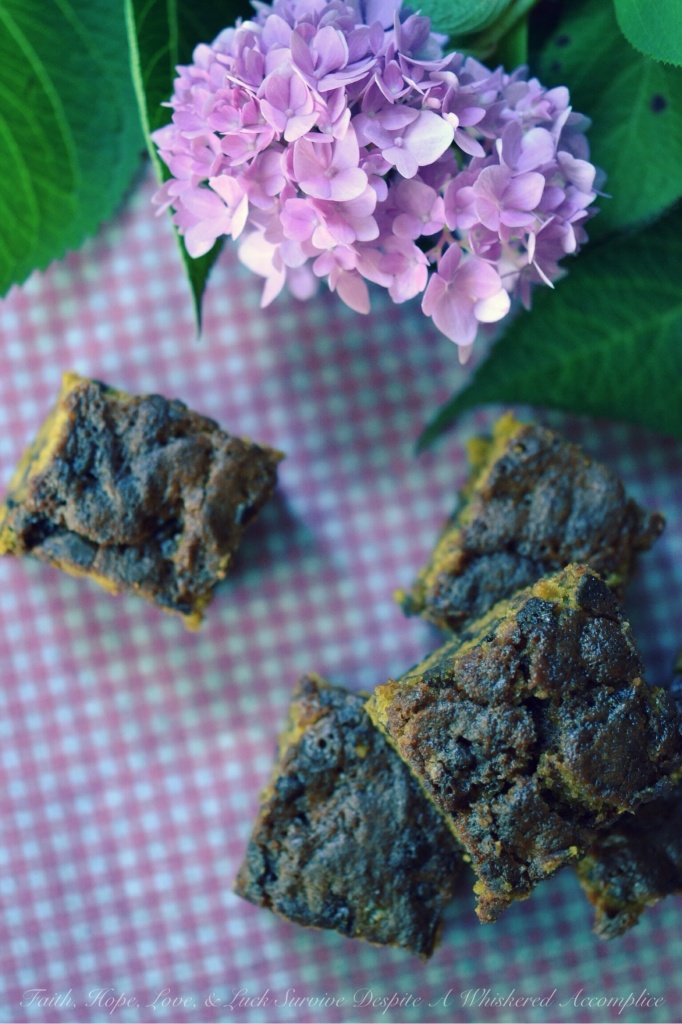 Pumpkin Caramel Toffee Bars | Faith, Hope, Love, & Luck Survive Despite A Whiskered Accomplice