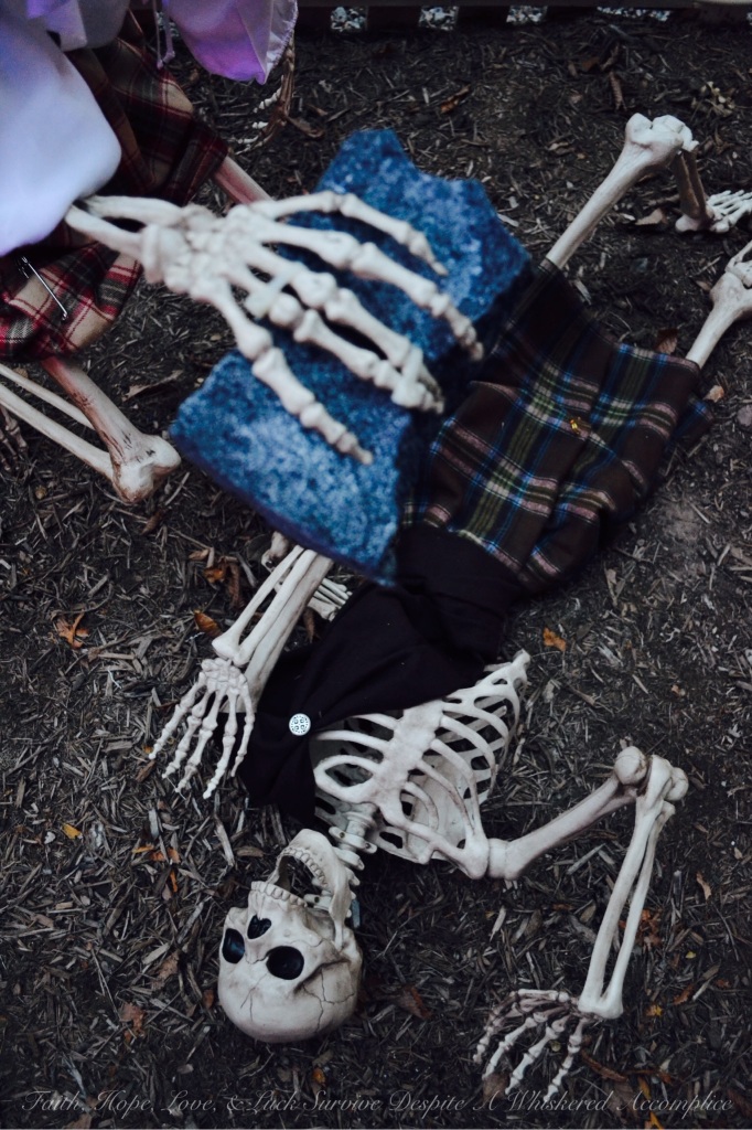 Scottish Skeleton Clan Army | Faith, Hope, Love, & Luck Survive Despite A Whiskered Accomplice