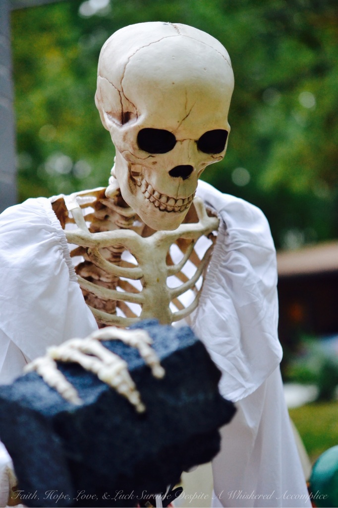 Scottish Skeleton Clan Army | Faith, Hope, Love, & Luck Survive Despite A Whiskered Accomplice