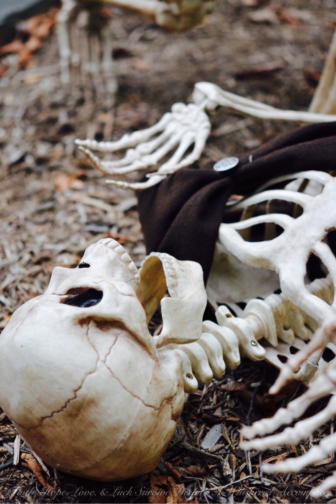 Scottish Skeleton Clan Army | Faith, Hope, Love, & Luck Survive Despite A Whiskered Accomplice