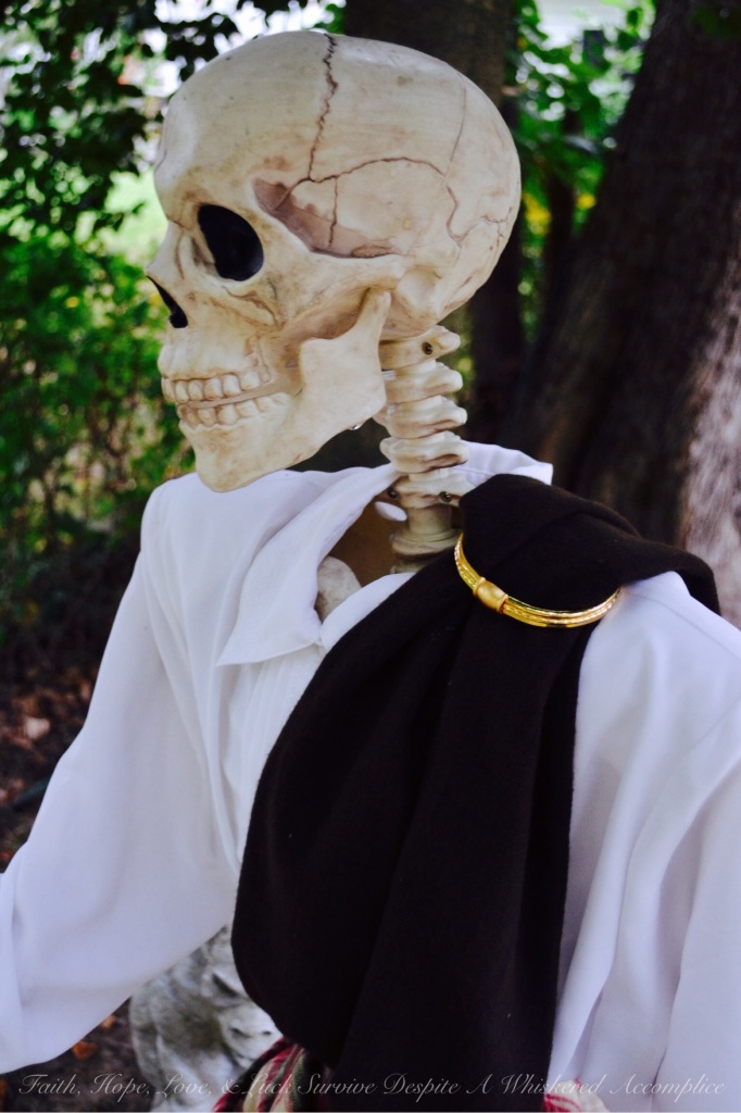 Scottish Skeleton Clan Army | Faith, Hope, Love, & Luck Survive Despite A Whiskered Accomplice