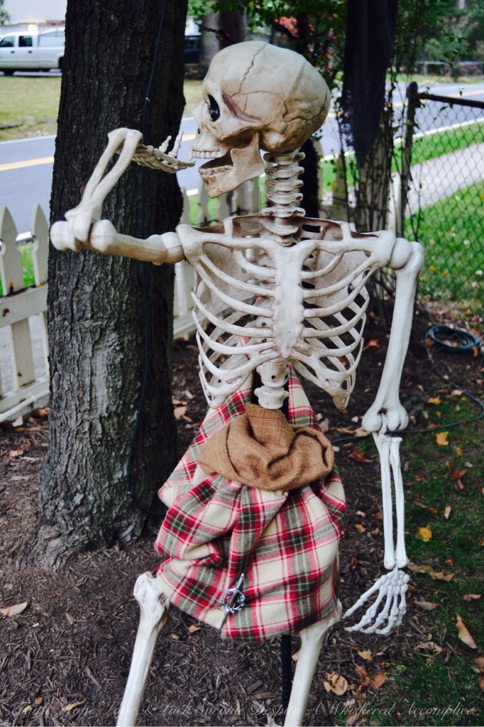 Scottish Skeleton Clan Army | Faith, Hope, Love, & Luck Survive Despite A Whiskered Accomplice