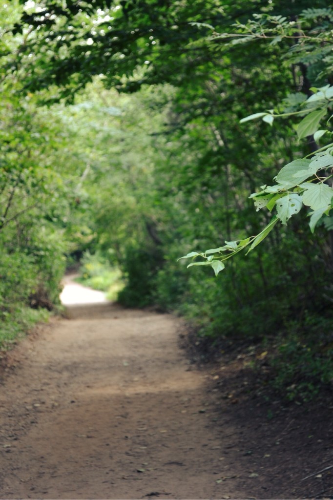 Lover's Lane | Faith, Hope, Love, and Luck Survive Despite a Whiskered Accomplice
