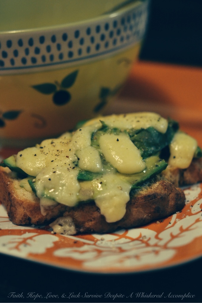 Avocado Toast | Faith, Hope, Love, & Luck Survive Despite A Whiskered Accomplice