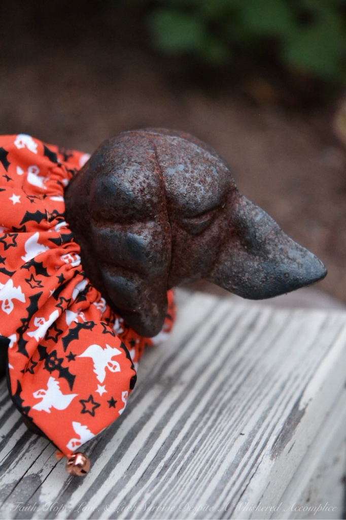 Halloween Farm Animals - William | Faith, Hope, Love, and Luck Survive Despite a Whiskered Accomplice