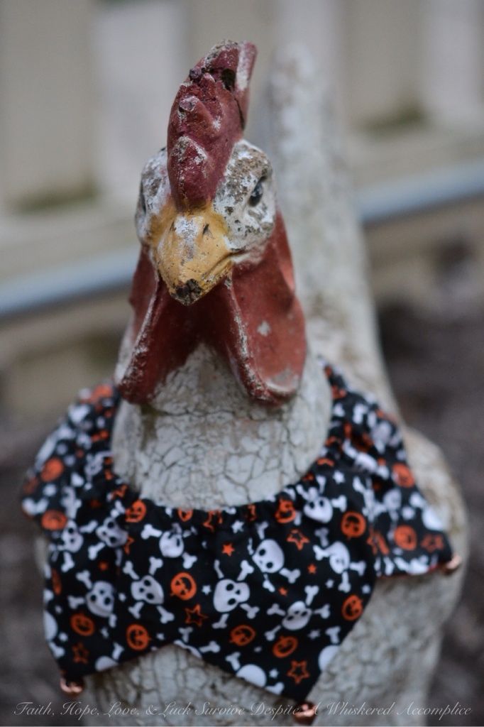 Halloween Farm Animals - The Flock | Faith, Hope, Love, and Luck Survive Despite a Whiskered Accomplice