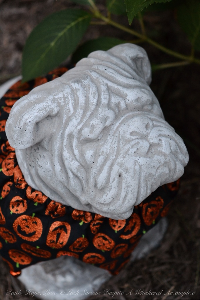 Halloween Farm Animals - Churchill | Faith, Hope, Love, and Luck Survive Despite a Whiskered Accomplice