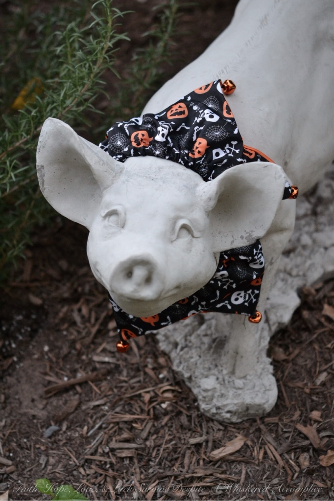 Halloween Farm Animals - Kenny | Faith, Hope, Love, and Luck Survive Despite a Whiskered Accomplice