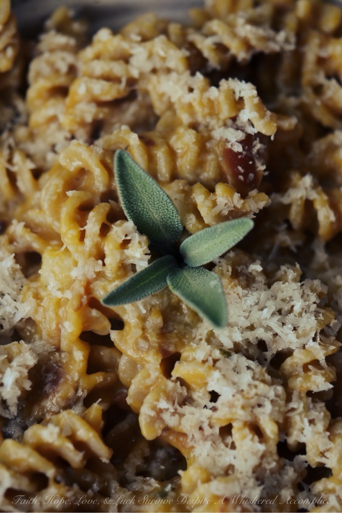 Fall Pumpkin Pasta - This easy-to-make pumpkin pasta dish is a great way to use up any leftover canned pumpkin you might have. It combines chopped thick-cut bacon, fresh sage, and apple in a creamy pumpkin sauce, topped with parmesan cheese. For a more filling meal, you can even add in diced chicken, spinach, or even mushrooms.