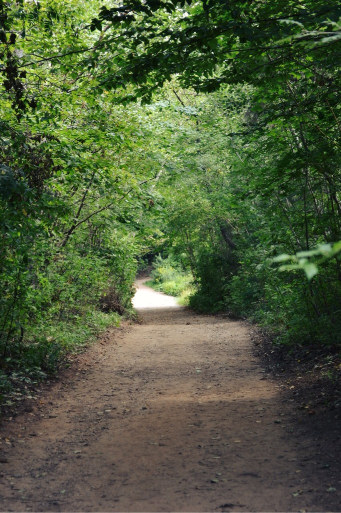 Lover's Lane | Faith, Hope, Love, and Luck Survive Despite a Whiskered Accomplice