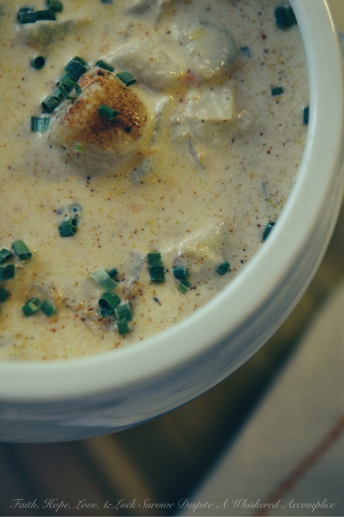 Scallop Half Soup/Half Chowder | Faith, Hope, Love, and Luck Survive Despite a Whiskered Accomplice