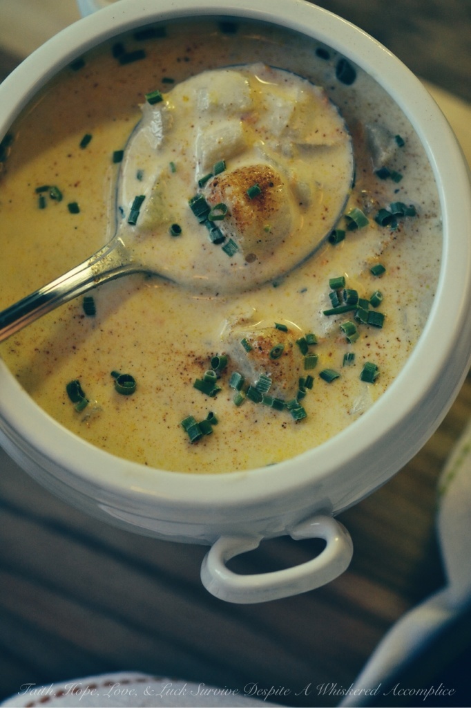 Scallop Half Soup/Half Chowder | Faith, Hope, Love, and Luck Survive Despite a Whiskered Accomplice
