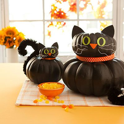 Kitten Pumpkin | Faith, Hope, Love, and Luck Survive Despite a Whiskered Accomplice