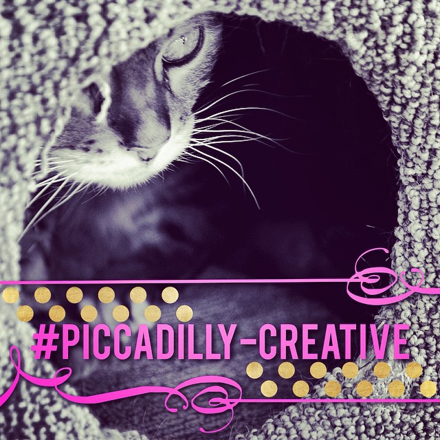 Piccadilly Creative | Faith, Hope, Love, and Luck Survive Despite a Whiskered Accomplice