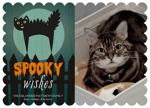 Spooky Wishes Front | Faith, Hope, Love, and Luck Survive Despite a Whiskered Accomplice