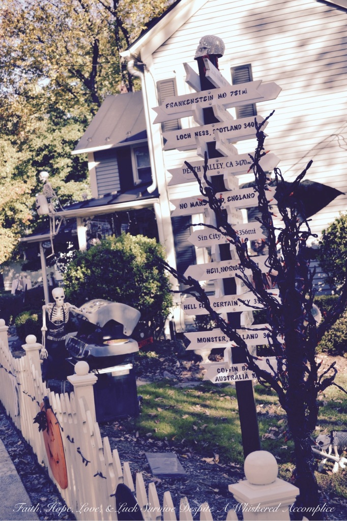 2014 Delawder Matthews Halloween House | Faith, Hope, Love, and Luck Survive Despite a Whiskered Accomplice
