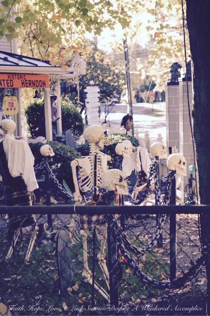 2014 Delawder Matthews Halloween House | Faith, Hope, Love, and Luck Survive Despite a Whiskered Accomplice