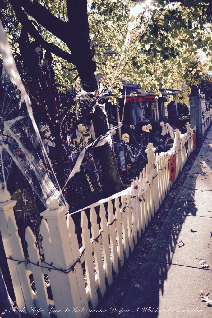 2014 Delawder Matthews Halloween House | Faith, Hope, Love, and Luck Survive Despite a Whiskered Accomplice
