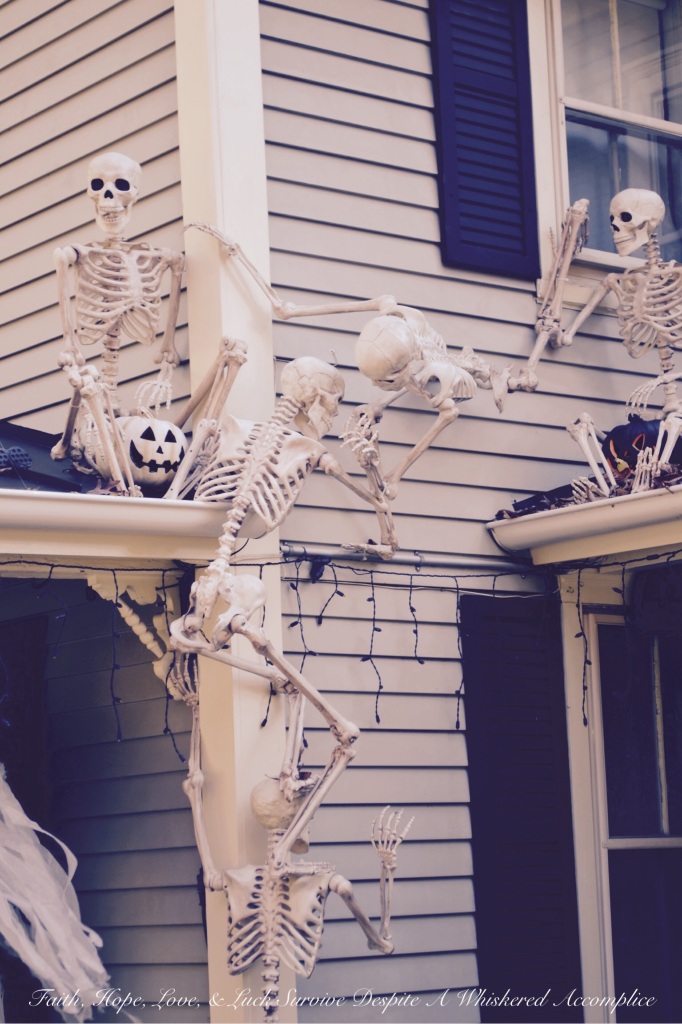 2014 Delawder Matthews Halloween House | Faith, Hope, Love, and Luck Survive Despite a Whiskered Accomplice