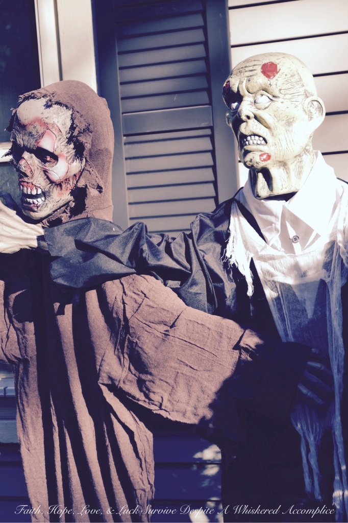 2014 Delawder Matthews Halloween House | Faith, Hope, Love, and Luck Survive Despite a Whiskered Accomplice