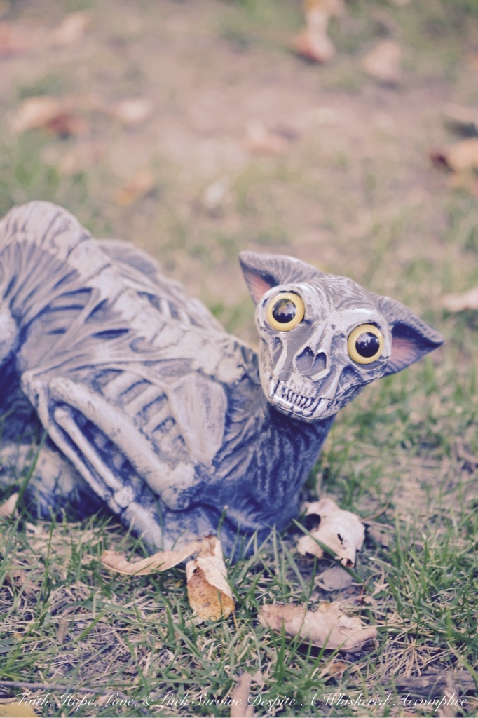 2014 Delawder Matthews Halloween House | Faith, Hope, Love, and Luck Survive Despite a Whiskered Accomplice