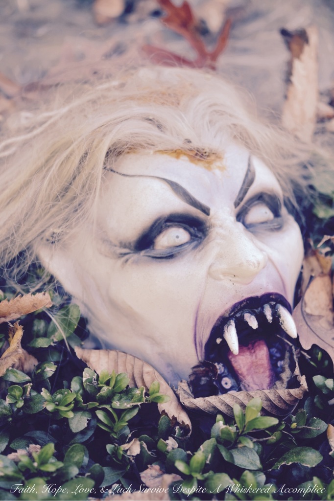 2014 Delawder Matthews Halloween House | Faith, Hope, Love, and Luck Survive Despite a Whiskered Accomplice