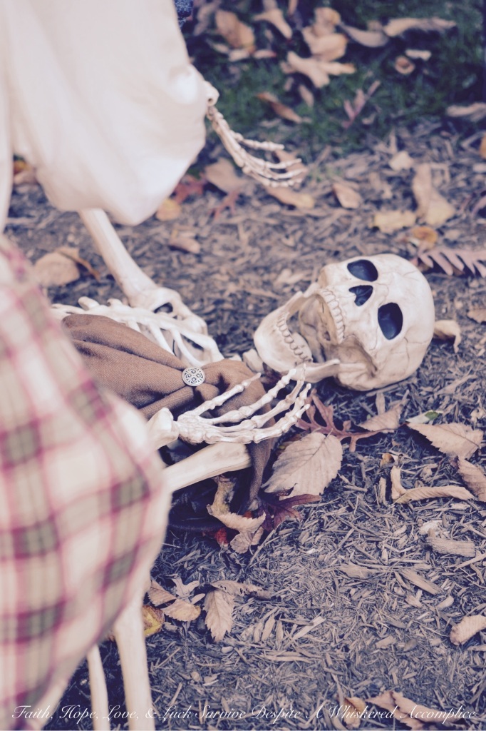 2014 Delawder Matthews Halloween House | Faith, Hope, Love, and Luck Survive Despite a Whiskered Accomplice