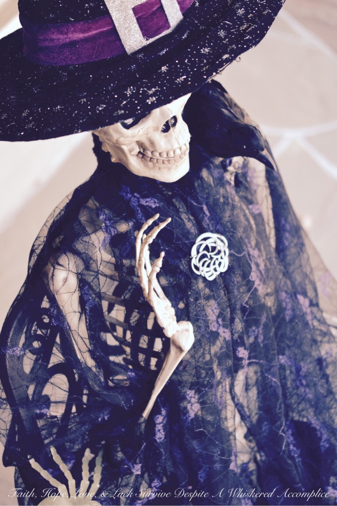 2014 Delawder Matthews Halloween House | Faith, Hope, Love, and Luck Survive Despite a Whiskered Accomplice