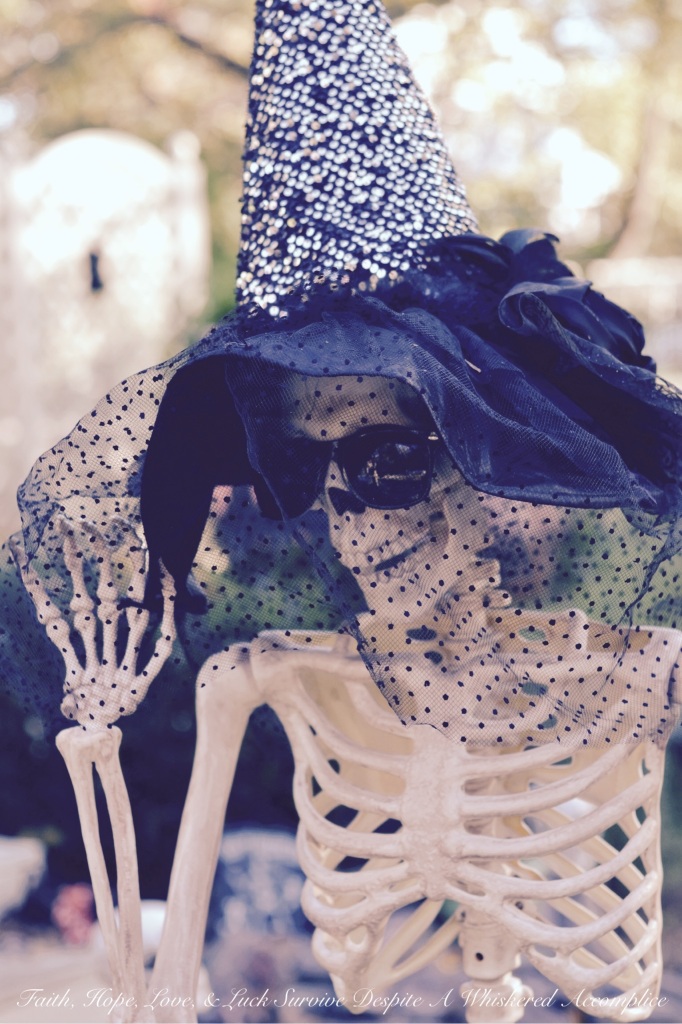 2014 Delawder Matthews Halloween House | Faith, Hope, Love, and Luck Survive Despite a Whiskered Accomplice