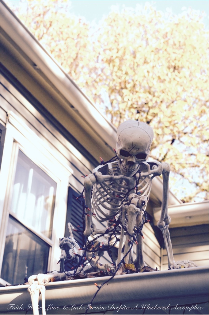 2014 Delawder Matthews Halloween House | Faith, Hope, Love, and Luck Survive Despite a Whiskered Accomplice