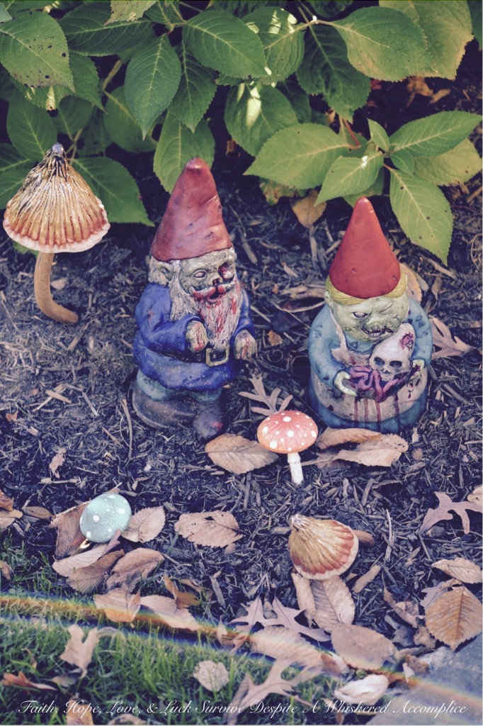 2014 Delawder Matthews Halloween House | Faith, Hope, Love, and Luck Survive Despite a Whiskered Accomplice