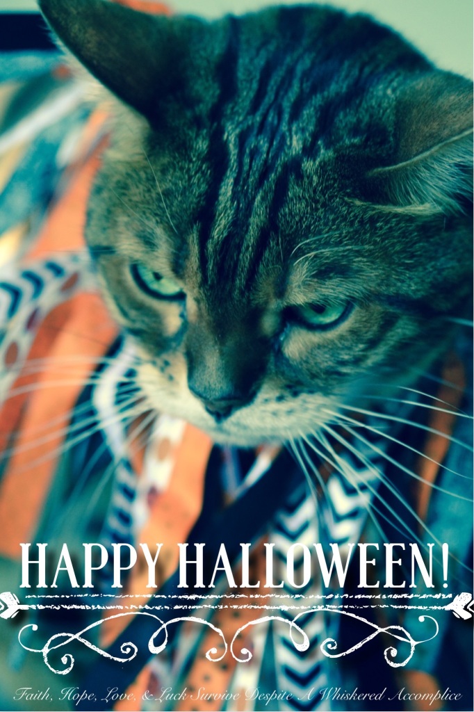 2014 Halloween Brenna | Faith, Hope, Love, and Luck Survive Despite a Whiskered Accomplice