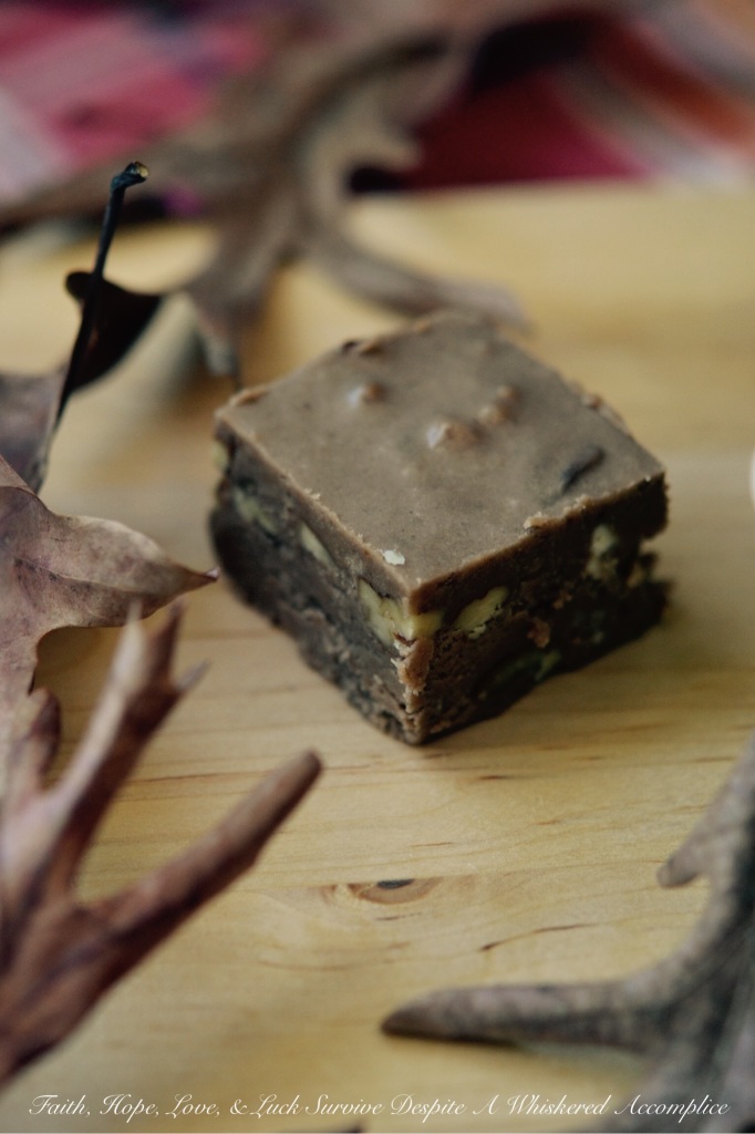 Pumpkin Spice Praline Pecan Fudge - This decadent homemade fall dessert combination of praline pecans, chocolate fudge, and pumpkin pie spice is sure to satisfy your sweet tooth with its rich, sweet, irresistible flavor. The praline pecans add a delightful crunch and the pumpkin pie spice adds a cozy warmth to the chocolate-flavored fudge. This is a delicious and indulgent pumpkin spice praline pecan fudge seasonal treat you won't want to miss out on this fall.