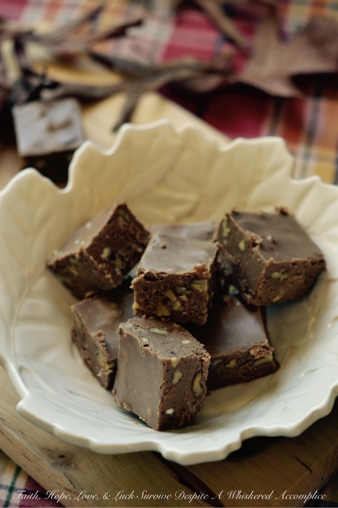 Pumpkin Spice Praline Pecan Fudge - This decadent homemade fall dessert combination of praline pecans, chocolate fudge, and pumpkin pie spice is sure to satisfy your sweet tooth with its rich, sweet, irresistible flavor. The praline pecans add a delightful crunch and the pumpkin pie spice adds a cozy warmth to the chocolate-flavored fudge. This is a delicious and indulgent pumpkin spice praline pecan fudge seasonal treat you won't want to miss out on this fall.