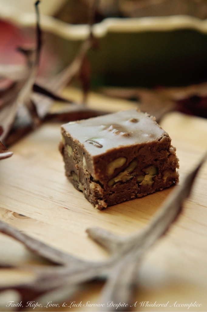 Pumpkin Spice Praline Pecan Fudge - This decadent homemade fall dessert combination of praline pecans, chocolate fudge, and pumpkin pie spice is sure to satisfy your sweet tooth with its rich, sweet, irresistible flavor. The praline pecans add a delightful crunch and the pumpkin pie spice adds a cozy warmth to the chocolate-flavored fudge. This is a delicious and indulgent pumpkin spice praline pecan fudge seasonal treat you won't want to miss out on this fall.