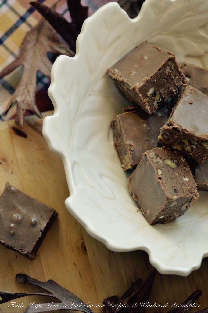 Pumpkin Spice Praline Pecan Fudge - This decadent homemade fall dessert combination of praline pecans, chocolate fudge, and pumpkin pie spice is sure to satisfy your sweet tooth with its rich, sweet, irresistible flavor. The praline pecans add a delightful crunch and the pumpkin pie spice adds a cozy warmth to the chocolate-flavored fudge. This is a delicious and indulgent pumpkin spice praline pecan fudge seasonal treat you won't want to miss out on this fall.