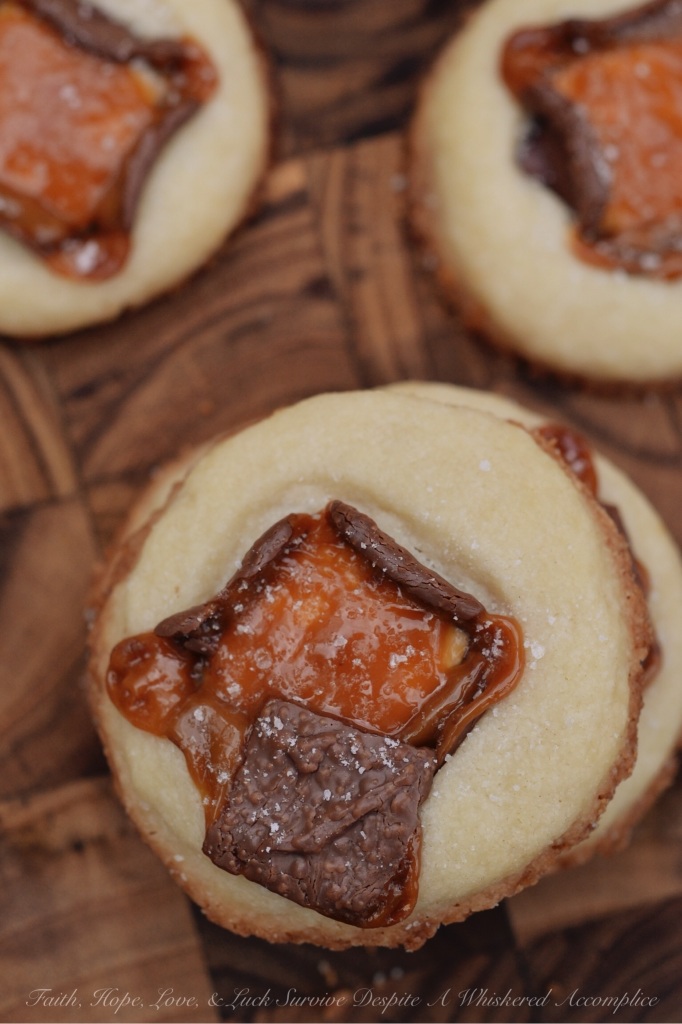 Milky Way Caramel Apple Shortbread | Faith, Hope, Love, and Luck Survive Despite a Whiskered Accomplice