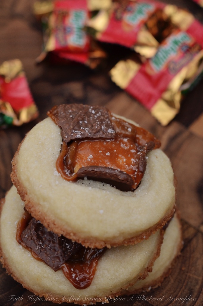 Milky Way Caramel Apple Shortbread | Faith, Hope, Love, and Luck Survive Despite a Whiskered Accomplice