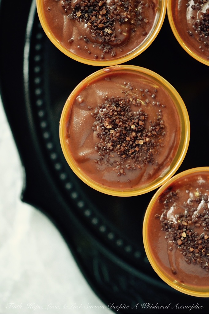 Chocolate Pudding Shots | Faith, Hope, Love, and Luck Survive Despite a Whiskered Accomplice