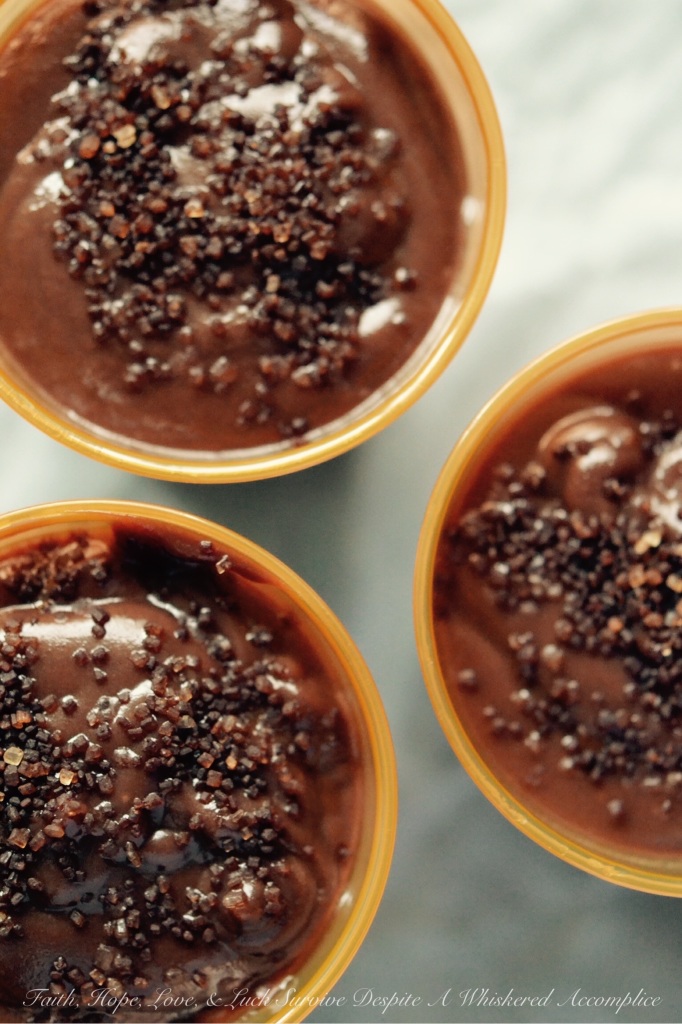 Chocolate Pudding Shots | Faith, Hope, Love, and Luck Survive Despite a Whiskered Accomplice