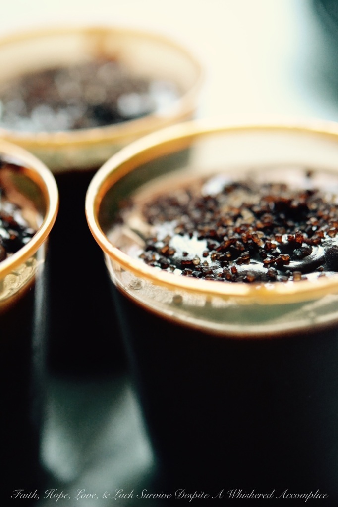 Chocolate Pudding Shots | Faith, Hope, Love, and Luck Survive Despite a Whiskered Accomplice