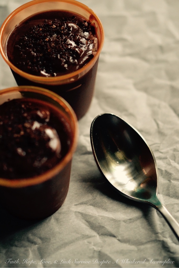 Chocolate Pudding Shots | Faith, Hope, Love, and Luck Survive Despite a Whiskered Accomplice