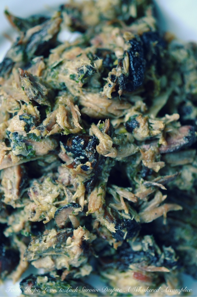 Lechon Asada Pork BBQ Sauce | Faith, Hope, Love, and Luck Survive Despite a Whiskered Accomplice