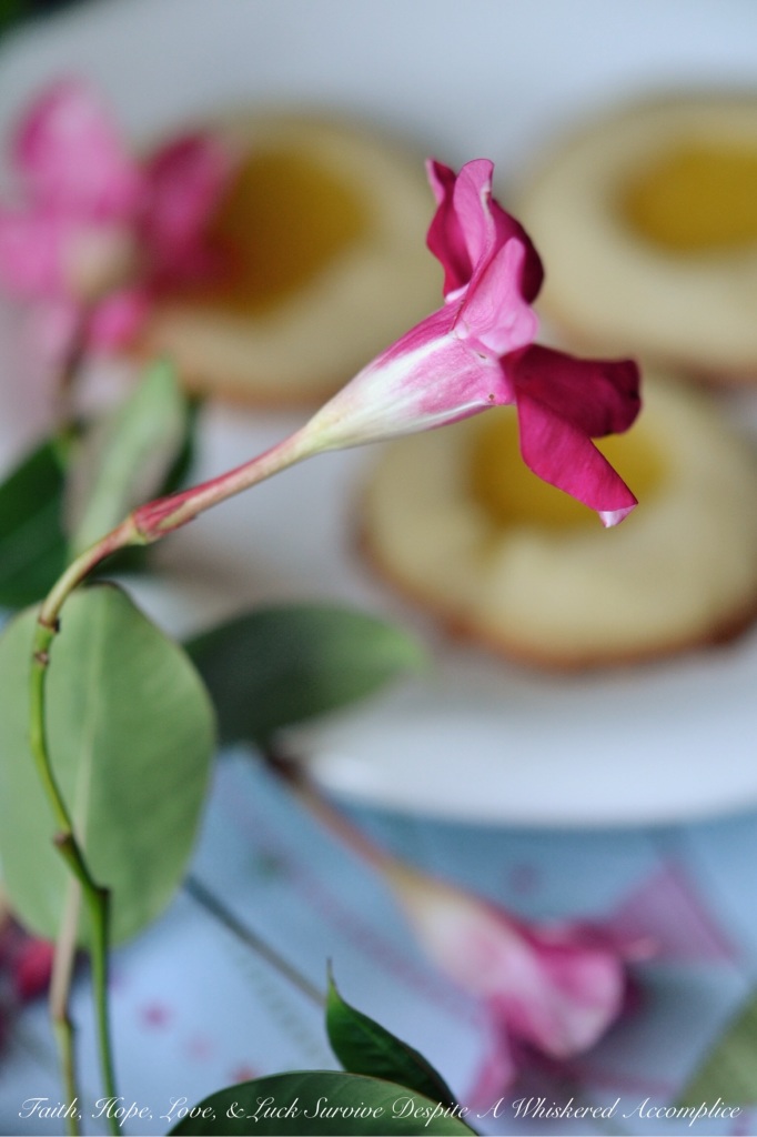 Lemon Curd Thumbprint Cookies | Faith, Hope, Love, and Luck Survive Despite a Whiskered Accomplice