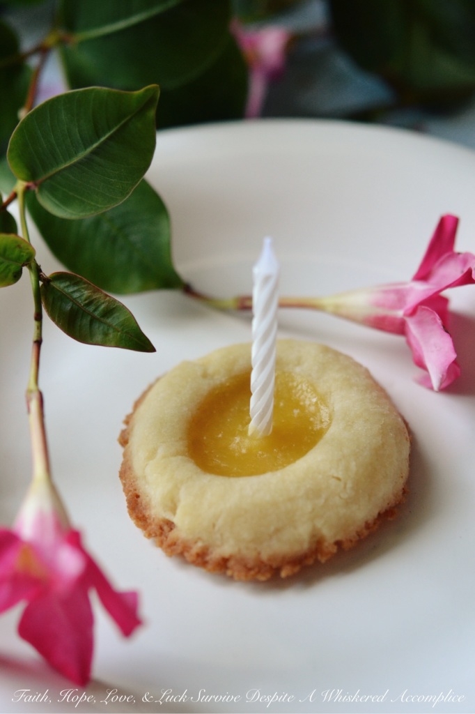Lemon Curd Thumbprint Cookies | Faith, Hope, Love, and Luck Survive Despite a Whiskered Accomplice