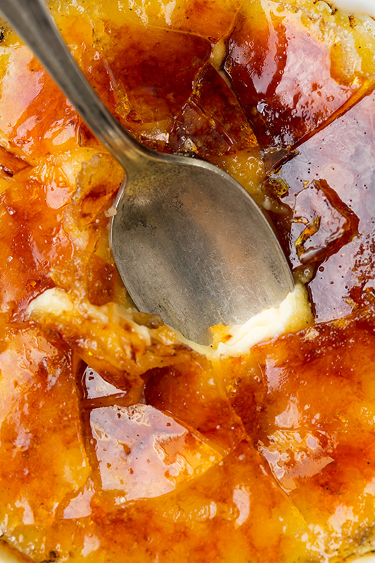 Creme Brulee | Faith, Hope, Love, and Luck Survive Despite a Whiskered Accomplice