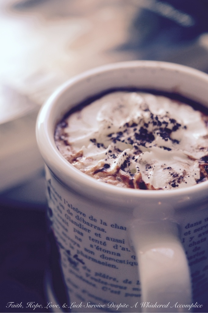 Sea Salted Hot Chocolate | Faith, Hope, Love, and Luck Survive Despite a Whiskered Accomplice